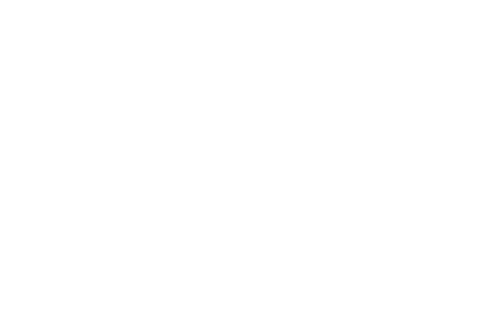 Logo van Stimuleringsfonds